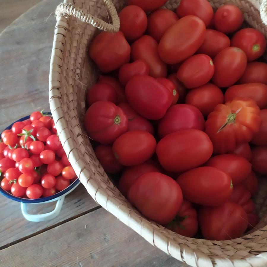 Dago Farmhouse Siena Ngoại thất bức ảnh